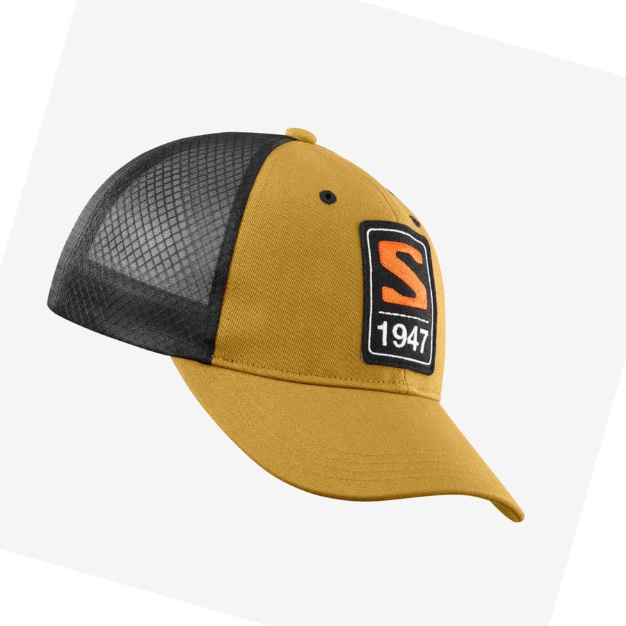 Salomon TRUCKERS Kalap Női Barna | HU 3476JPQ